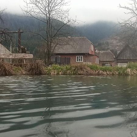 Готель Людмила Synevyr Εξωτερικό φωτογραφία