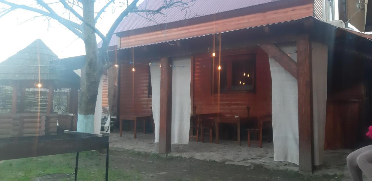 Готель Людмила Synevyr Εξωτερικό φωτογραφία