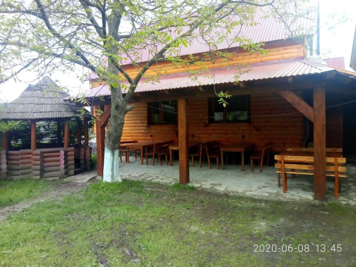 Готель Людмила Synevyr Εξωτερικό φωτογραφία