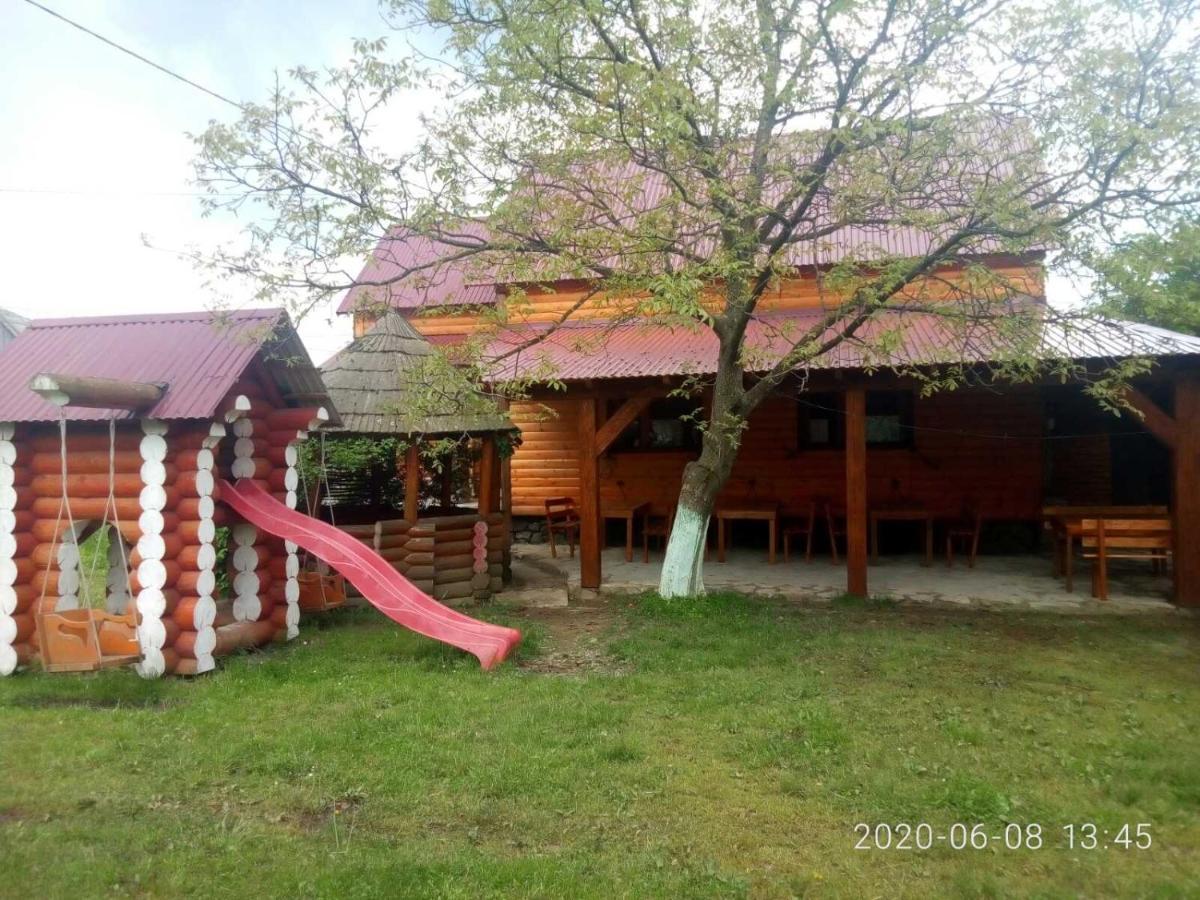 Готель Людмила Synevyr Εξωτερικό φωτογραφία